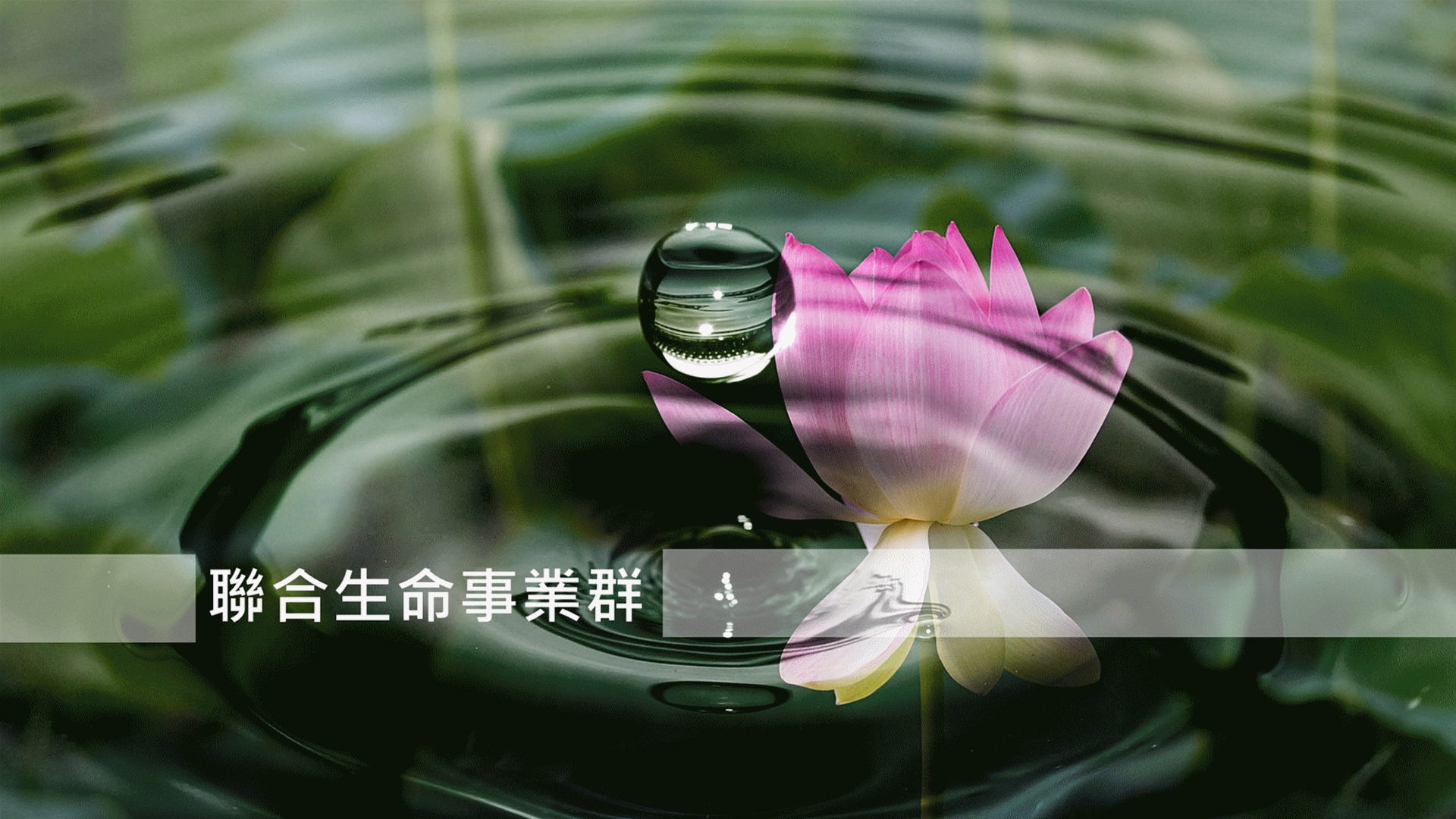 聯合生命事業